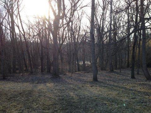 1259 Fogg Road Sparta, KY 41086 - Photo 3 of 30 Gallery Image 3