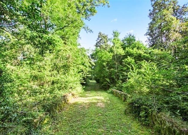 0 Bamboo Lane Covington, LA 70435 - Photo 2 of 9