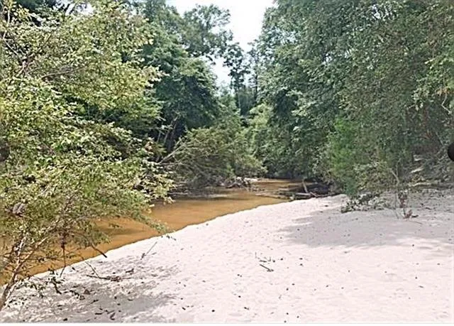 $175,000 | 0 Bamboo Lane, Covington, LA 70435