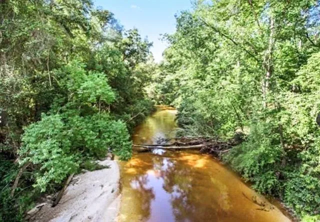 $175,000 | 0 Bamboo Lane, Covington, LA 70435