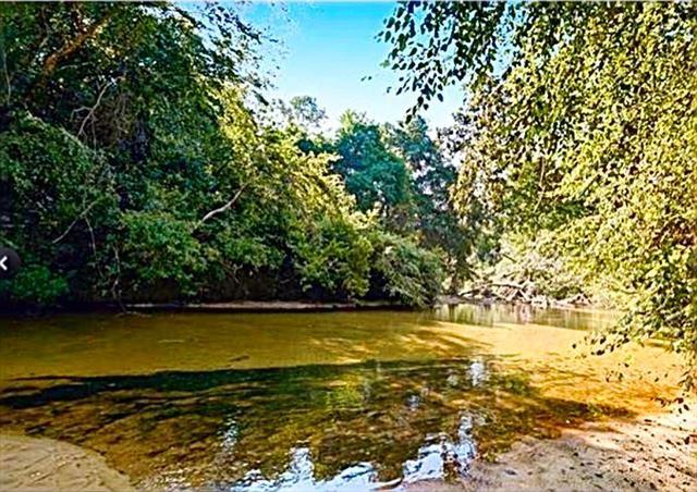 0 Bamboo Lane Covington, LA 70435 - Photo 9 of 9