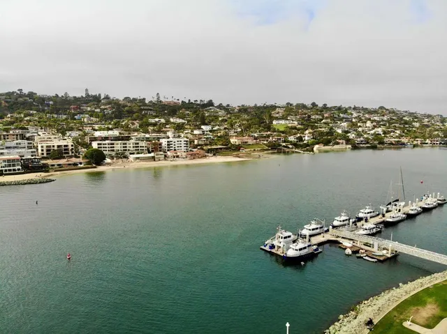 a view of a yard with an trees