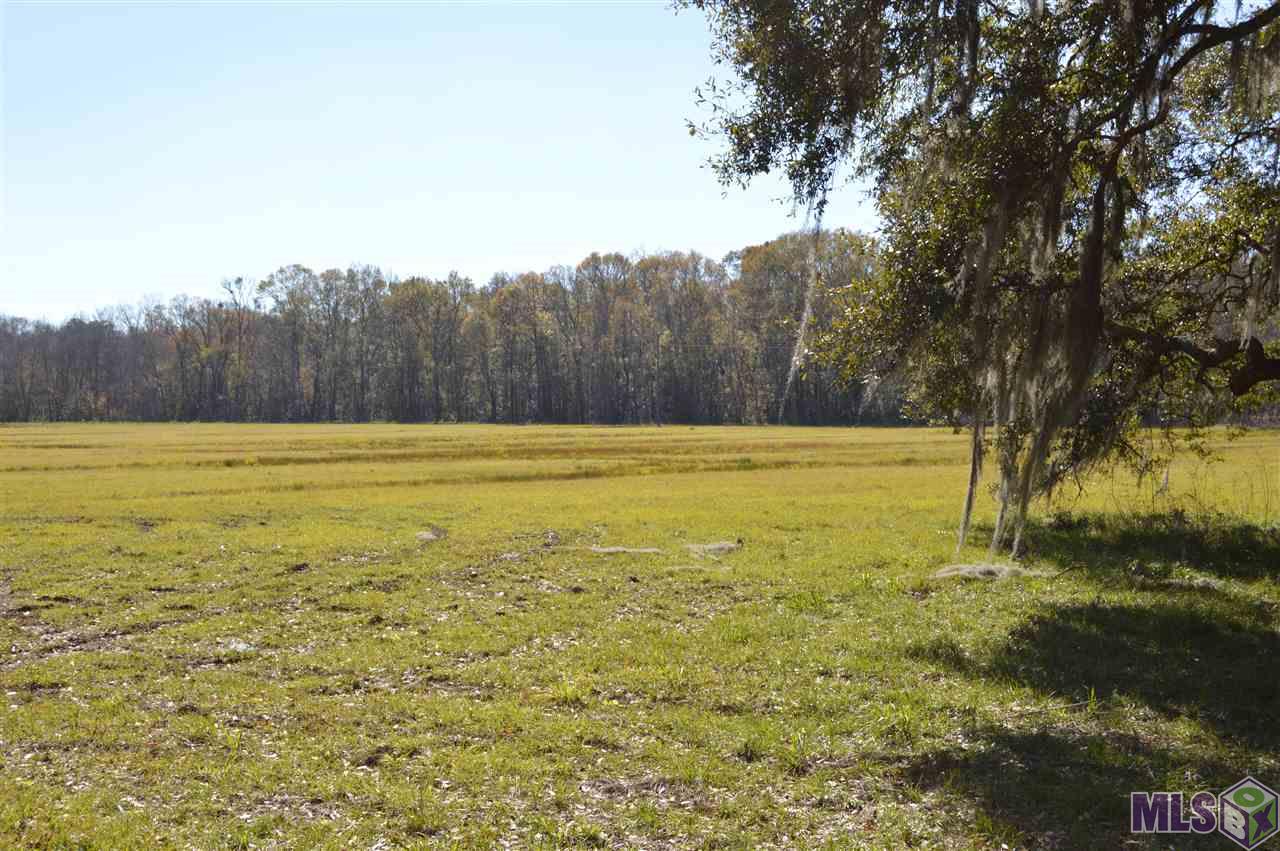 6 New River Road St. Amant, LA 70774 - Photo 5 of 14 Gallery Image 5