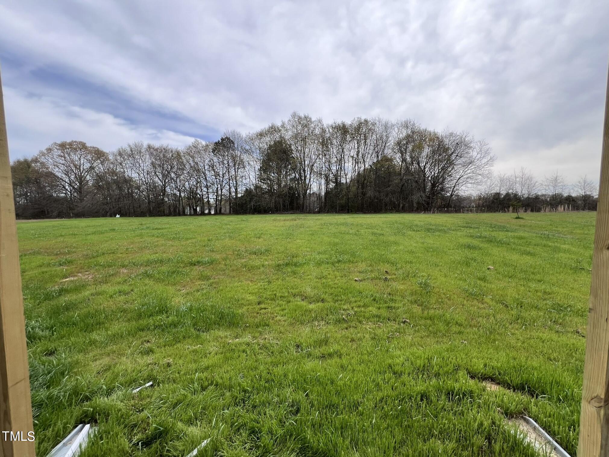 234 Crystal Spgs Way Benson, NC 27504 - Photo 26 of 26 IMG_9555