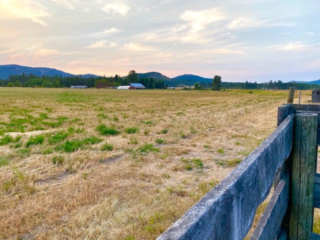 4700 Williams Valley Road Clayton, WA 99110 - Photo 21 of 22