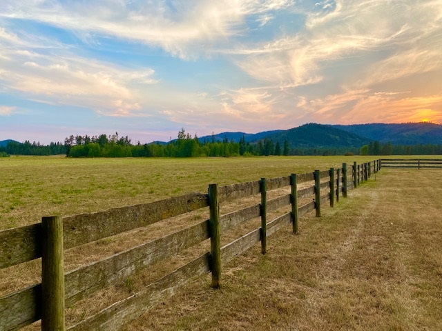 4700 Williams Valley Road Clayton, WA 99110 - Photo 22 of 22