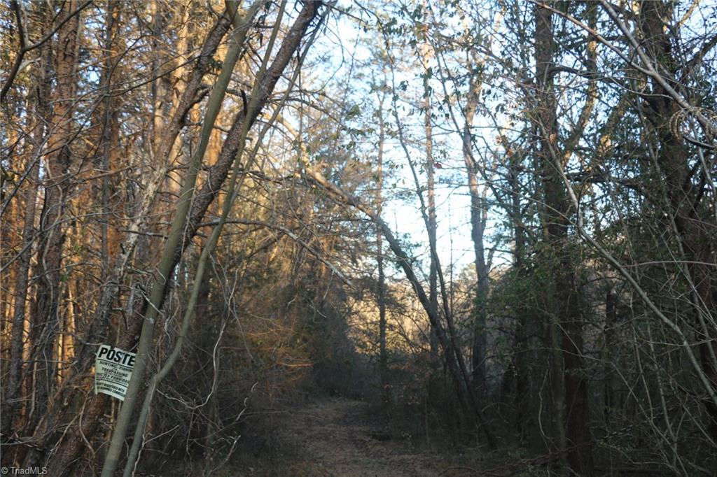 0 William Fowler Road, Unit 14 AC King, NC 27021 - Photo 1 of 6