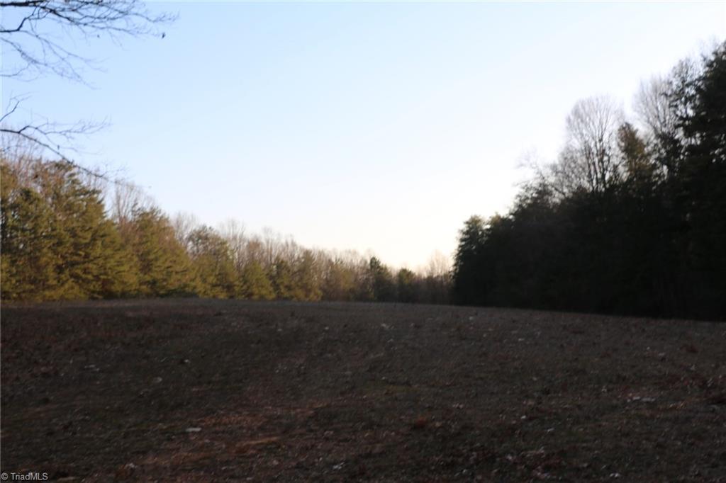 0 William Fowler Road, Unit 14 AC King, NC 27021 - Photo 4 of 6