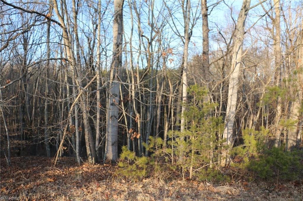 0 William Fowler Road, Unit 14 AC King, NC 27021 - Photo 6 of 6