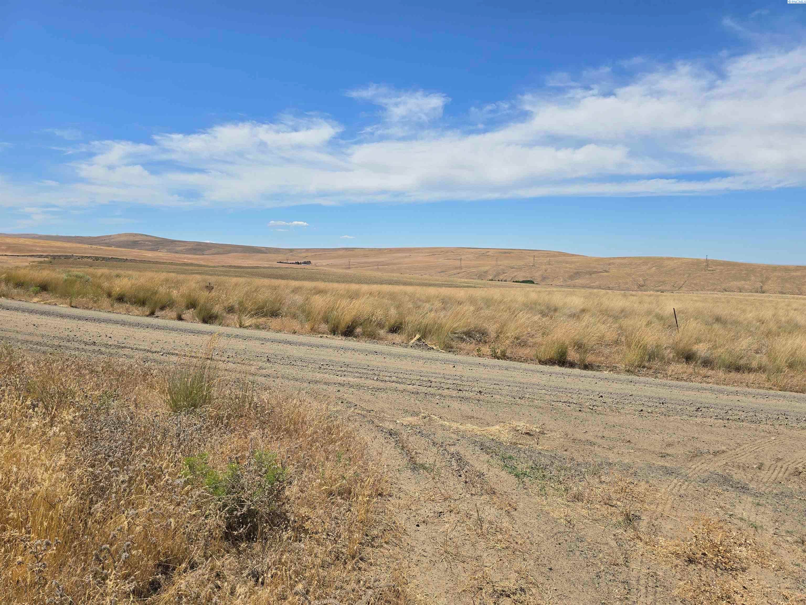 Lot 4 Turpin Road Mabton, WA 98935 - Photo 9 of 27 Gallery Image 9