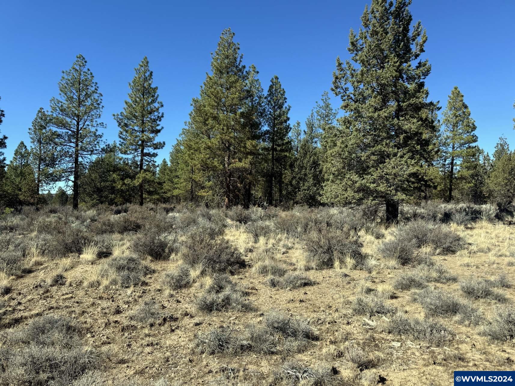 600 Oregon Pines Road Chiloquin, OR 97624 - Photo 32 of 49