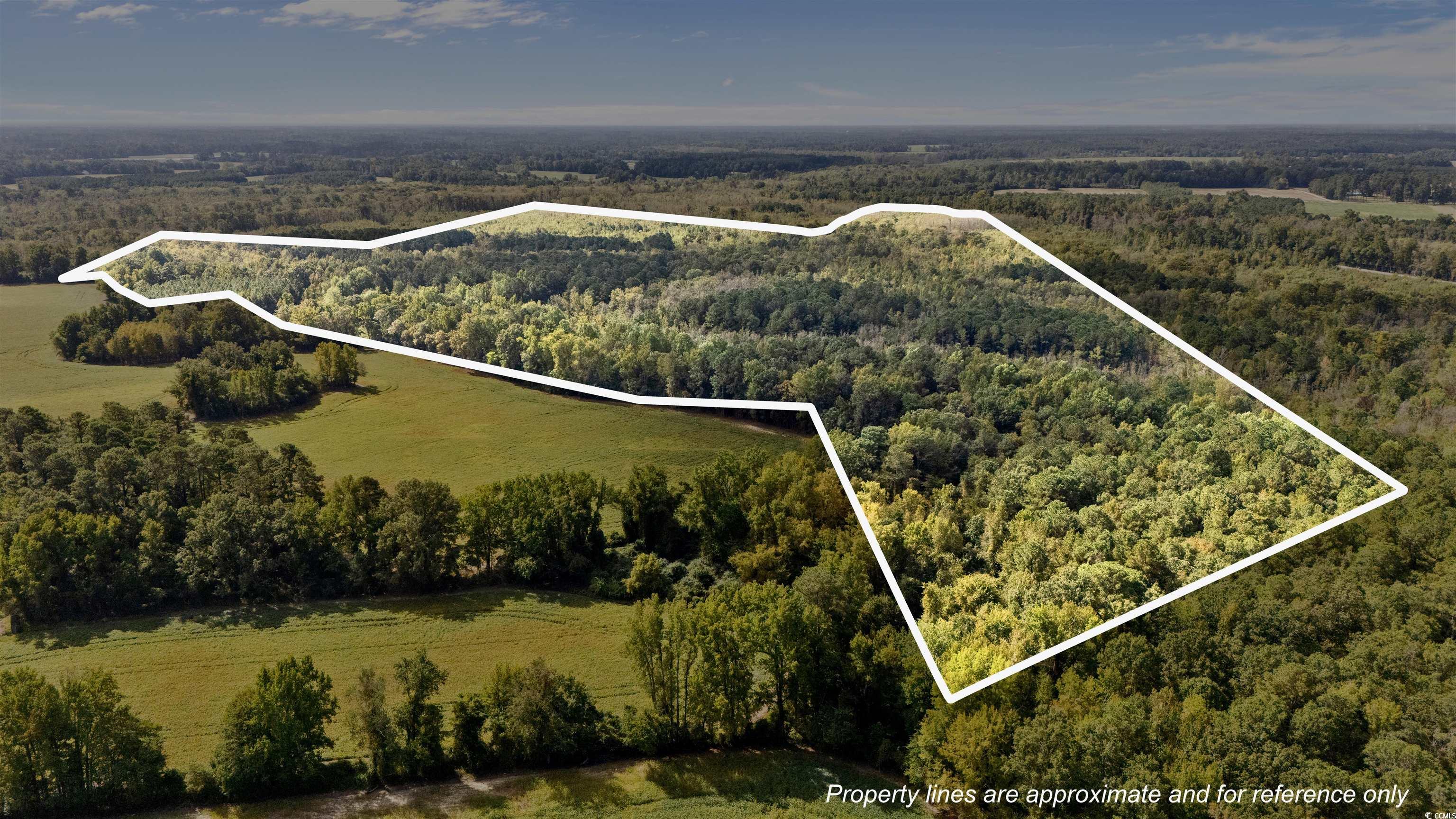 0 Schofield Place Fork, SC 29543 - Photo 9 of 9 Aerial view of property and surrounding area with a heavily wooded area and property boundaries highlighted