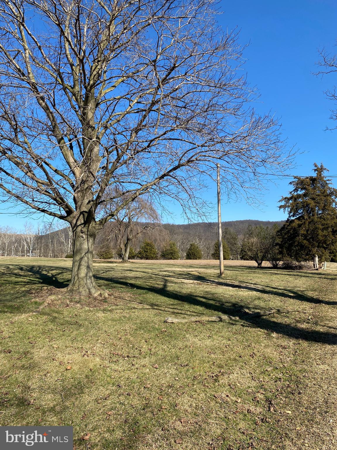 11 Creeks Edge Road Oley, PA 19547 - Photo 26 of 28 a view of a yard with wooden fence