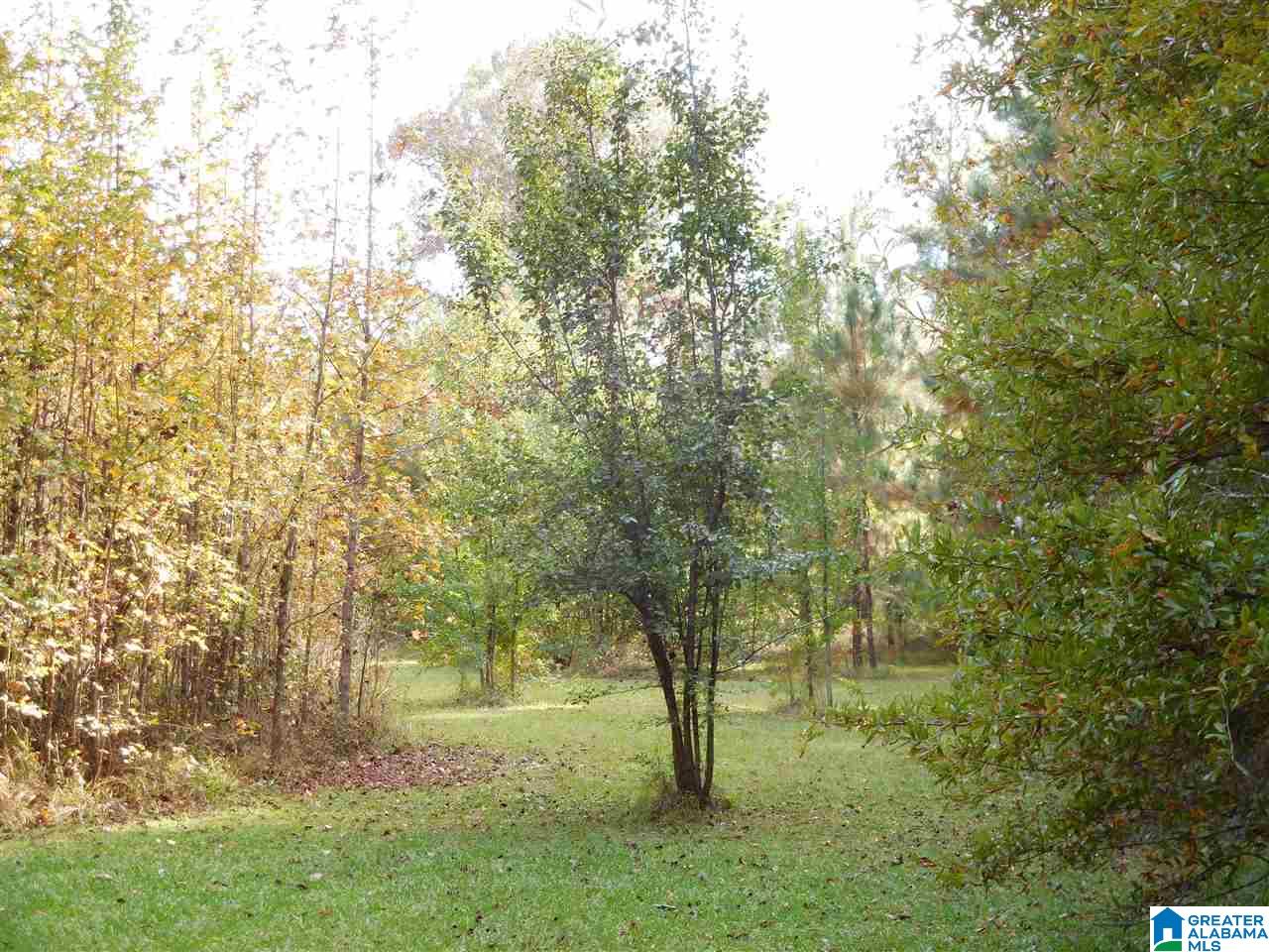 201 Lay Lake Lane Sylacauga, AL 35151 - Photo 18 of 23