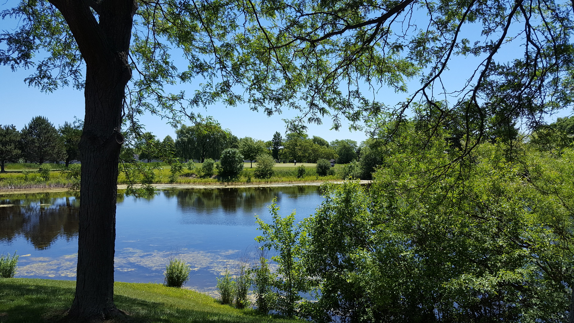 116 Riverside Drive Deerfield, IL 60015 - Photo 52 of 60