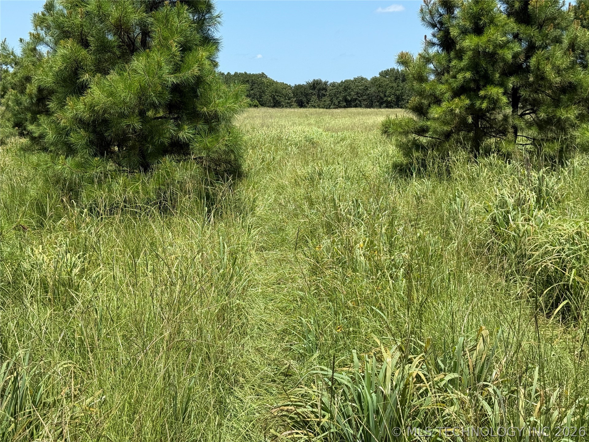 5 1960th Road Antlers, OK 74523 - Photo 32 of 56 Gallery Image 32