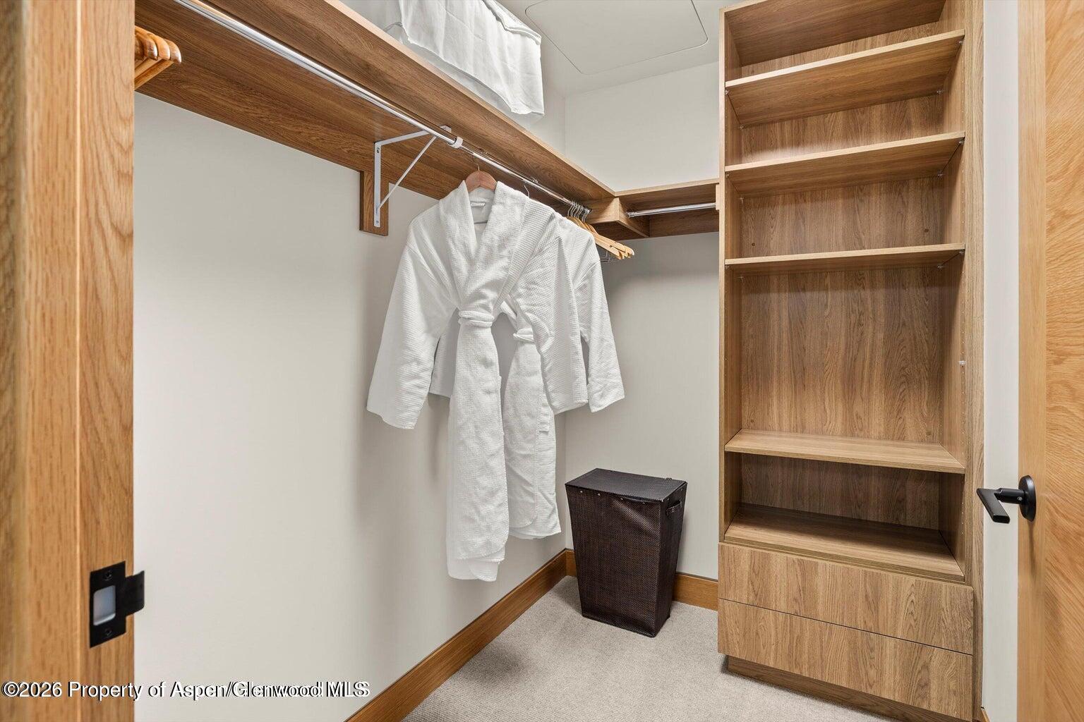 77 Wood Road, Unit 50709 Snowmass Village, CO 81615 - Photo 32 of 41 20250529194754608353000000-o