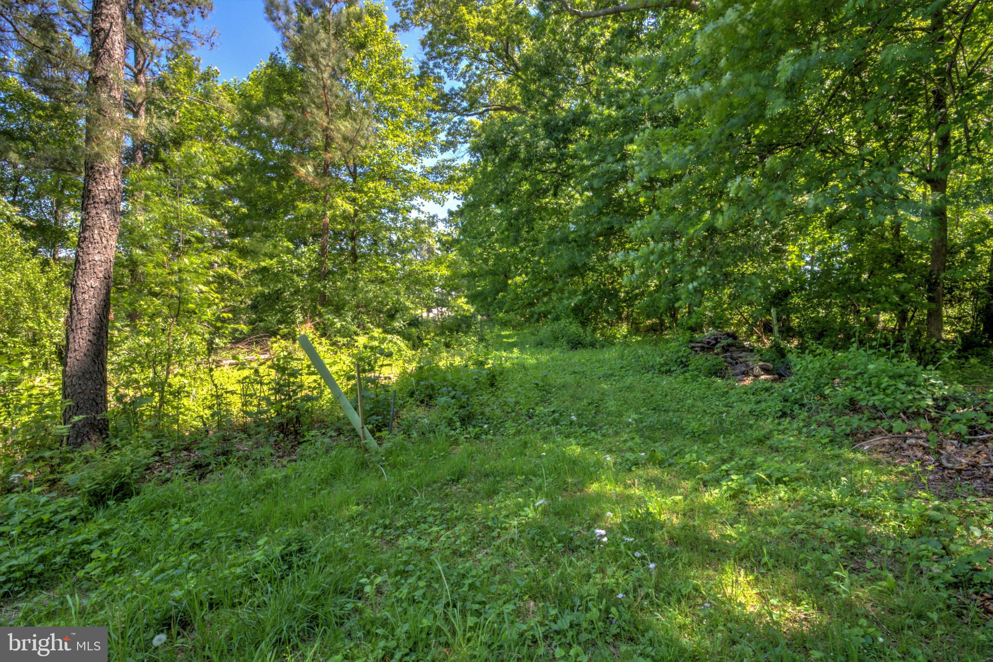3472 Messersmith Road York, PA 17408 - Photo 16 of 41 Lush green pathway through the woods.