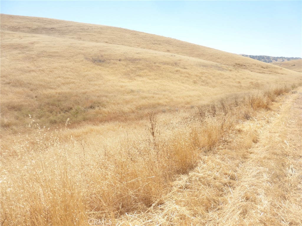 0 Douglas Road San Miguel, CA 93451 - Photo 10 of 15