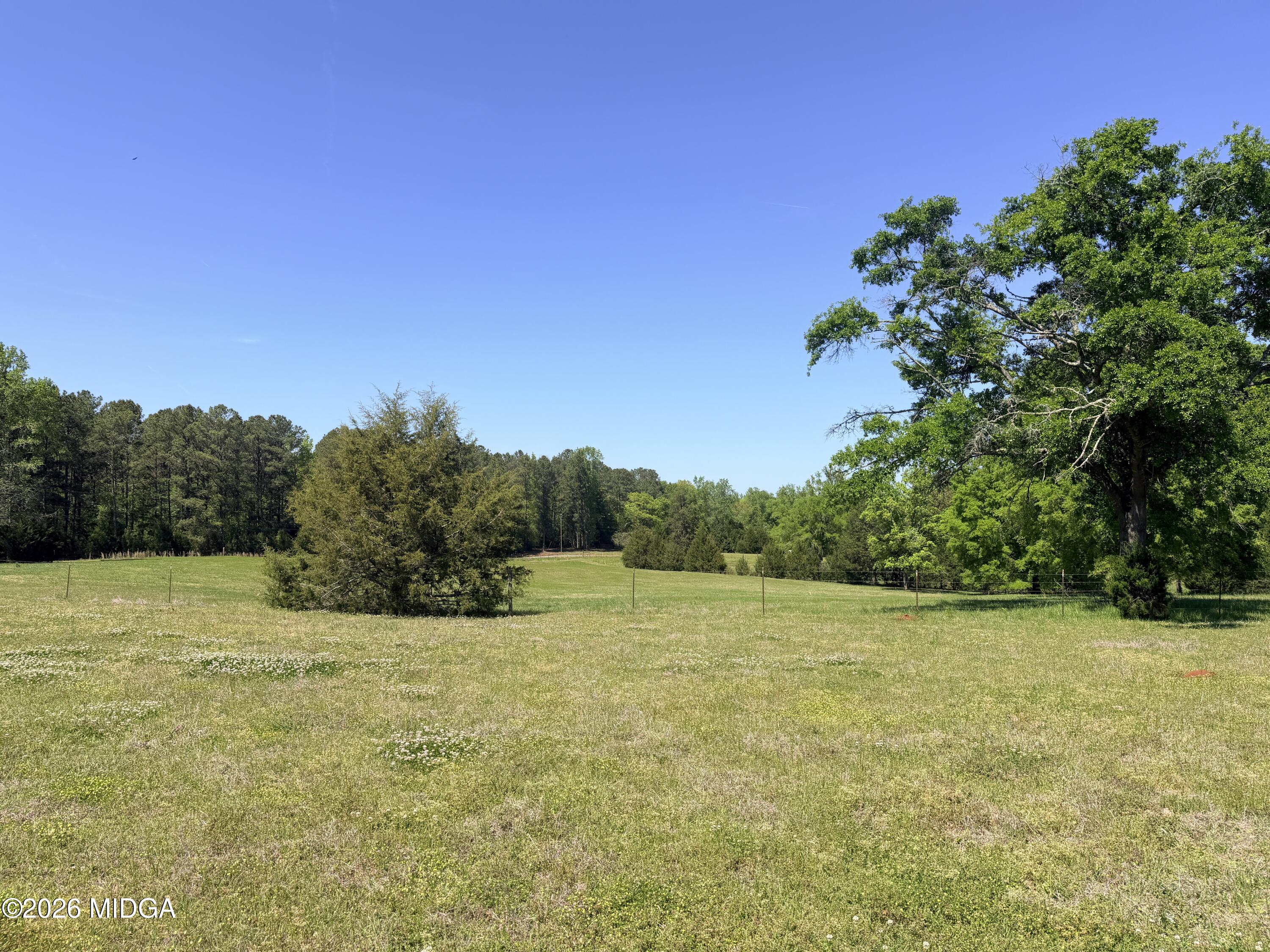 11190 Treadwell Road Forsyth, GA 31029 - Photo 14 of 30 IMG_8029