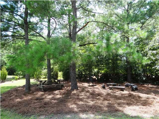 6607 Old Jacksonboro Road Ravenel, SC 29470 - Photo 22 of 23 Additional Photo