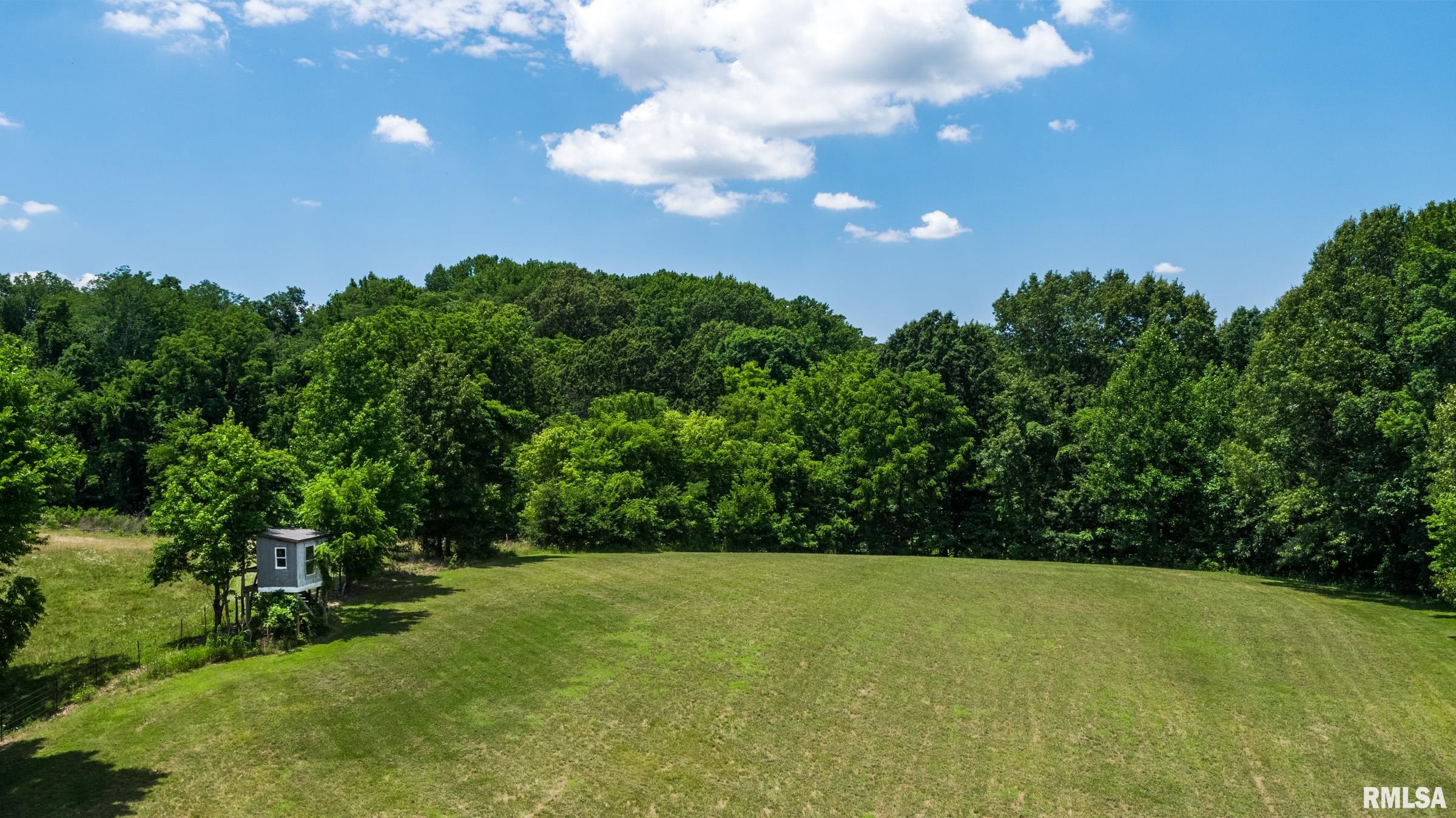 550 Body Barn Road Anna, IL 62906 - Photo 3 of 38