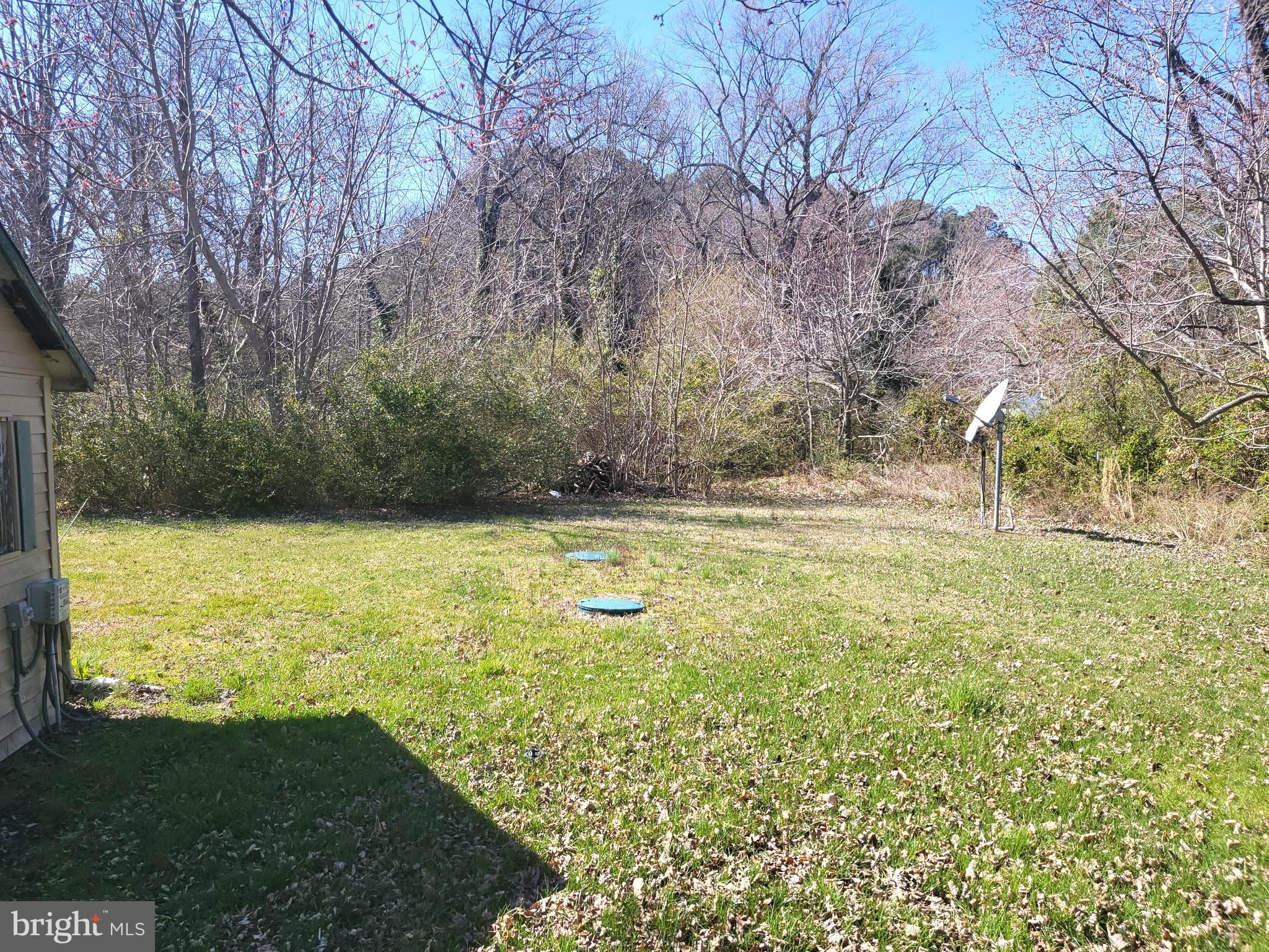 908 Hudson Road Cambridge, MD 21613 - Photo 15 of 21 Rear Yard Into Woods