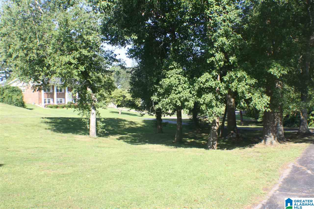 423 Cherokee Trail Anniston, AL 36206 - Photo 30 of 38