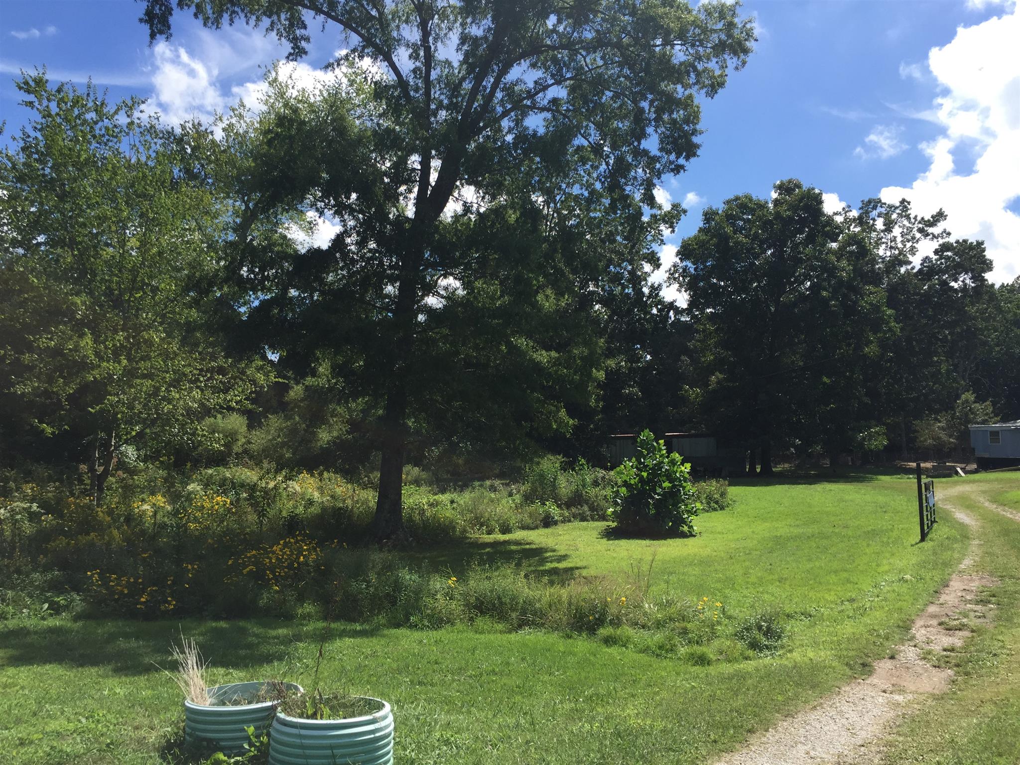 177 North Fork Road Manchester, TN 37355 - Photo 8 of 11 a view of a garden