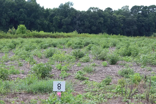 $40,000 | Lot 8 Whaley Road, Kinston, NC 28501