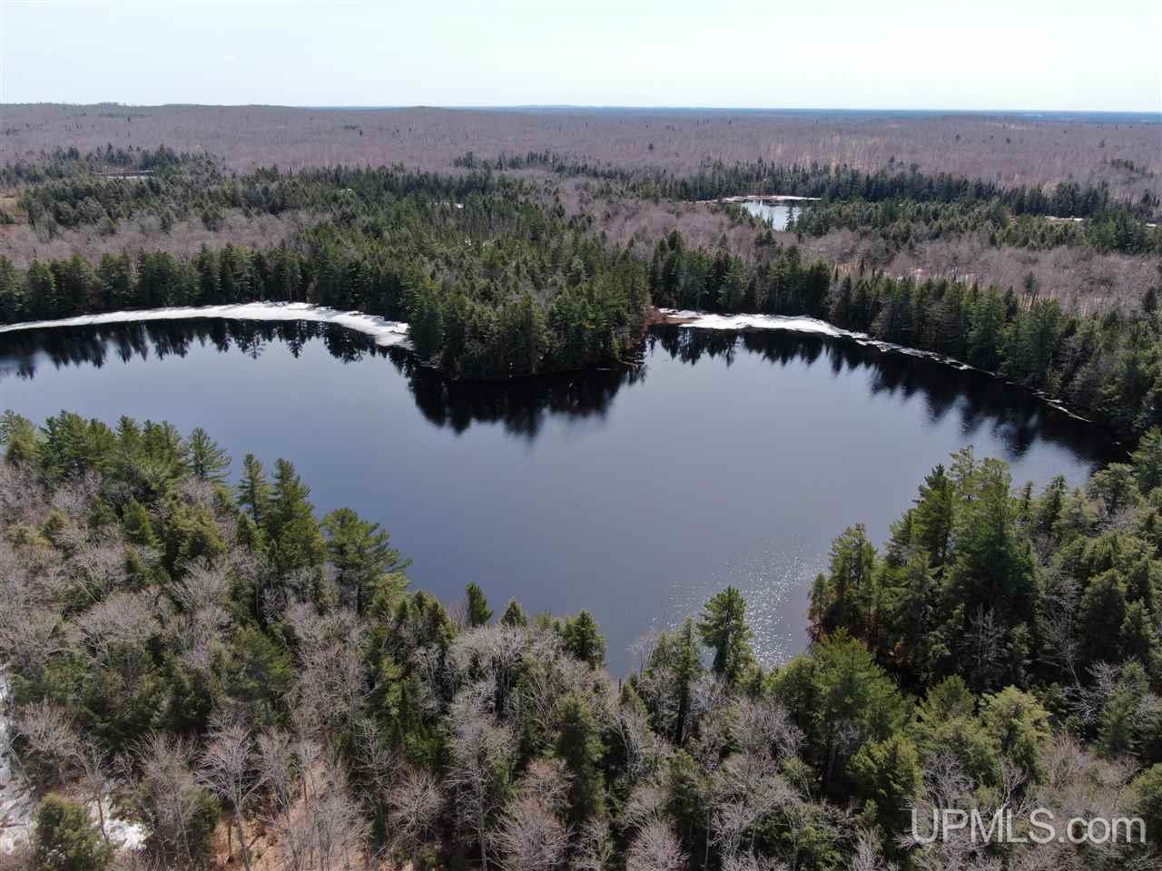 0 Old Seney Road Seney, MI 49883 - Photo 11 of 31