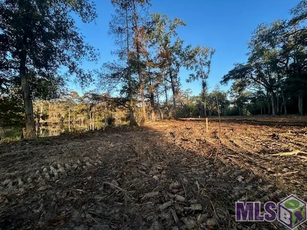$72,900 | 14251 Old River Road, Maurepas, LA 70449