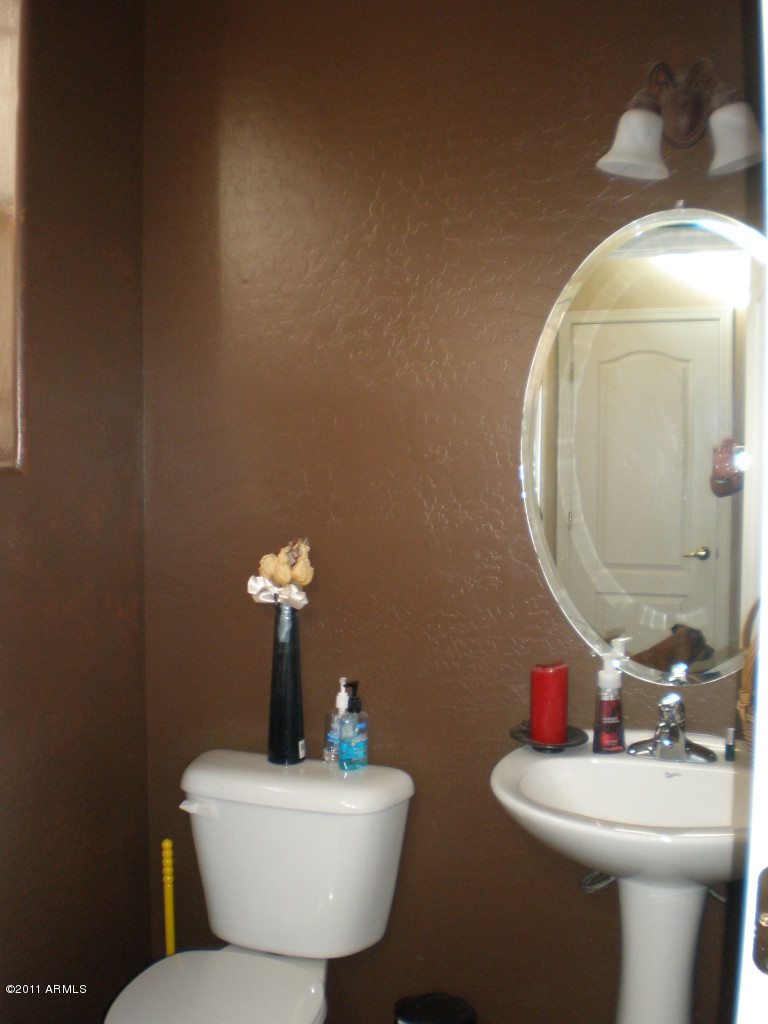 3902 East Pollack Street Phoenix, AZ 85042 - Photo 11 of 11 11 Bathroom