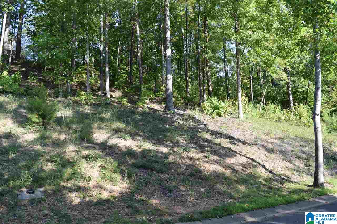 Lot 115 Ridge Drive, Unit 115 Hayden, AL 35079 - Photo 5 of 21