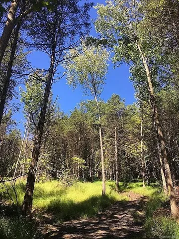 a view of a yard with swimming pool