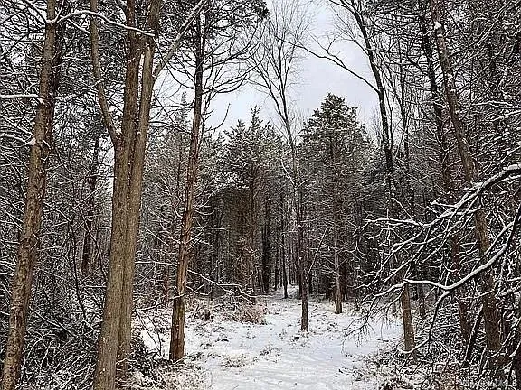 a view of a covered with snow in the background