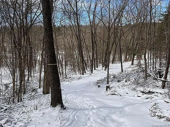 a view of outdoor space with trees