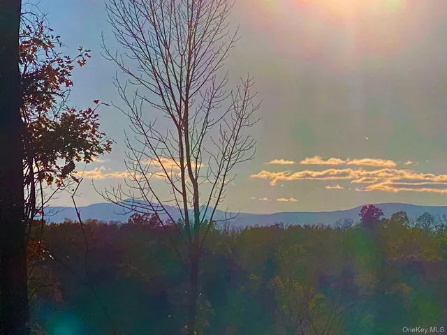 a view of a yard of a house with a lake