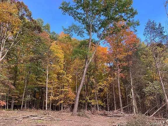 a view of a pathway both side of a road