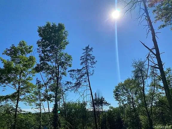 $295,000 | 410 County Rt 25, Grand Gorge, NY 12434