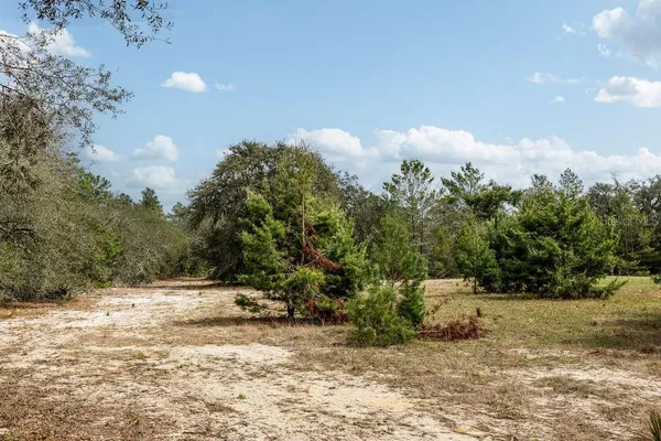 $2,693,000 | 2 Road Umatilla, Umatilla, FL 32784