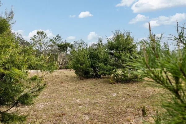 $2,693,000 | 2 Road Umatilla, Umatilla, FL 32784