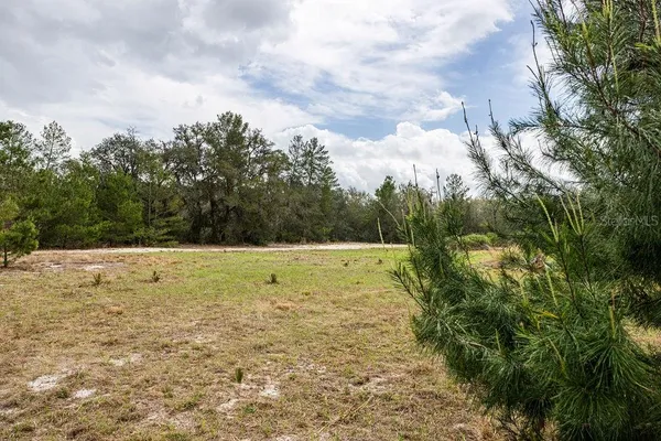 $2,693,000 | 2 Road Umatilla, Umatilla, FL 32784
