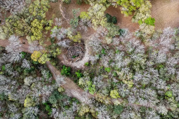 $2,693,000 | 2 Road Umatilla, Umatilla, FL 32784