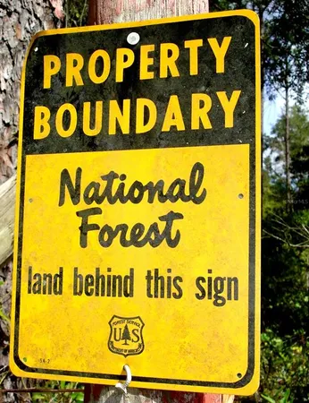 a view of a field with trees in background