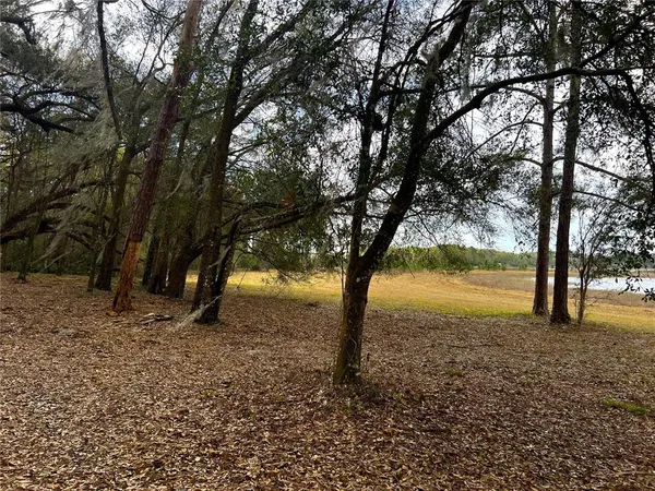 a view of outdoor space with lots of trees
