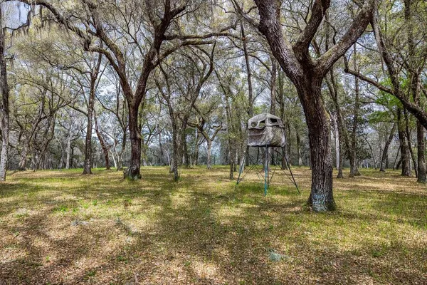 $2,693,000 | 2 Road Umatilla, Umatilla, FL 32784
