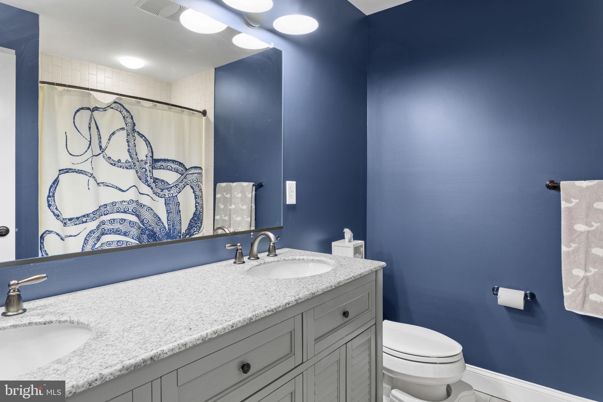 6620 Green Valley Road New Market, MD 21774 - Photo 86 of 126 Gallery Image 86