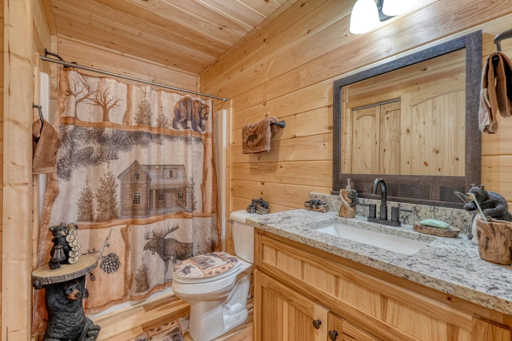 195 Lanes Way Murphy, NC 28906 - Photo 26 of 39