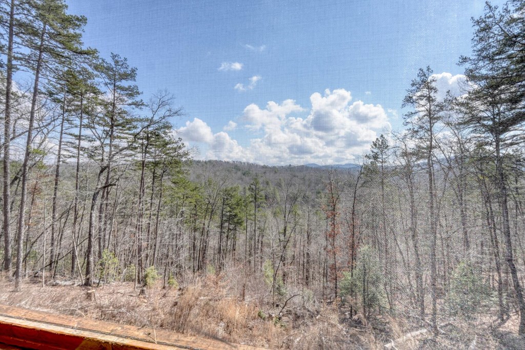 195 Lanes Way Murphy, NC 28906 - Photo 31 of 39